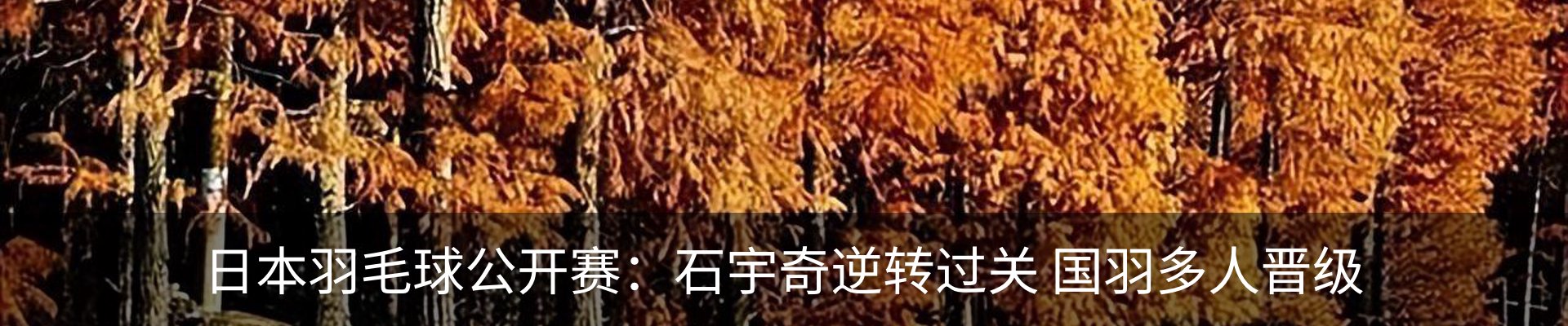 内页banner