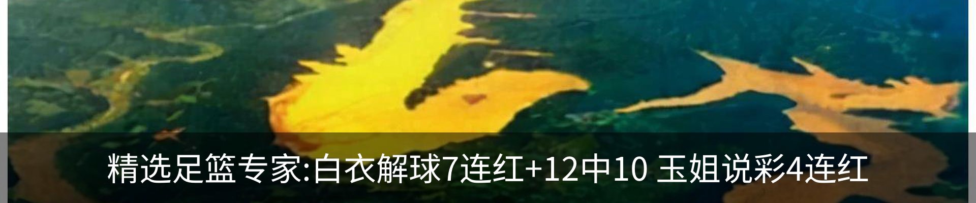 内页banner